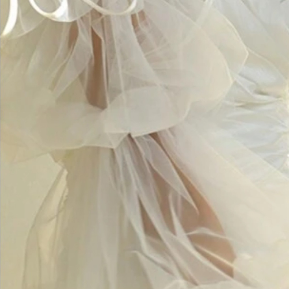 Elegant Cream Tulle sleeves
